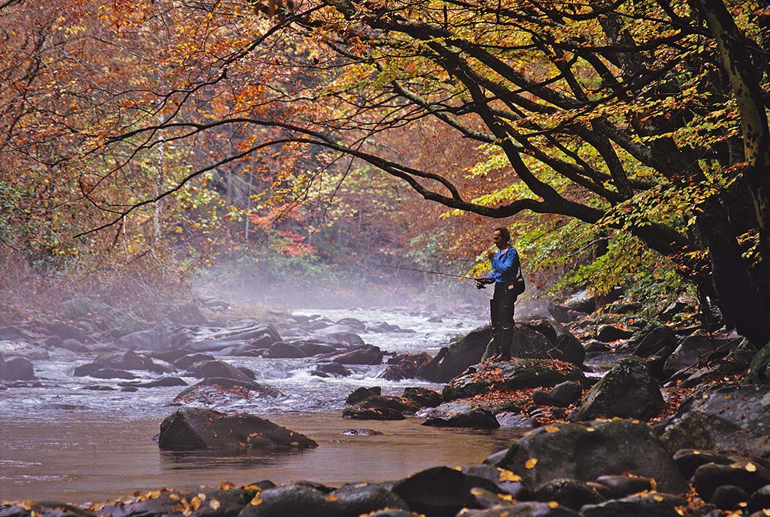 Issue #024 - Great Smoky Mountains National Park Tennessee / North Carolina