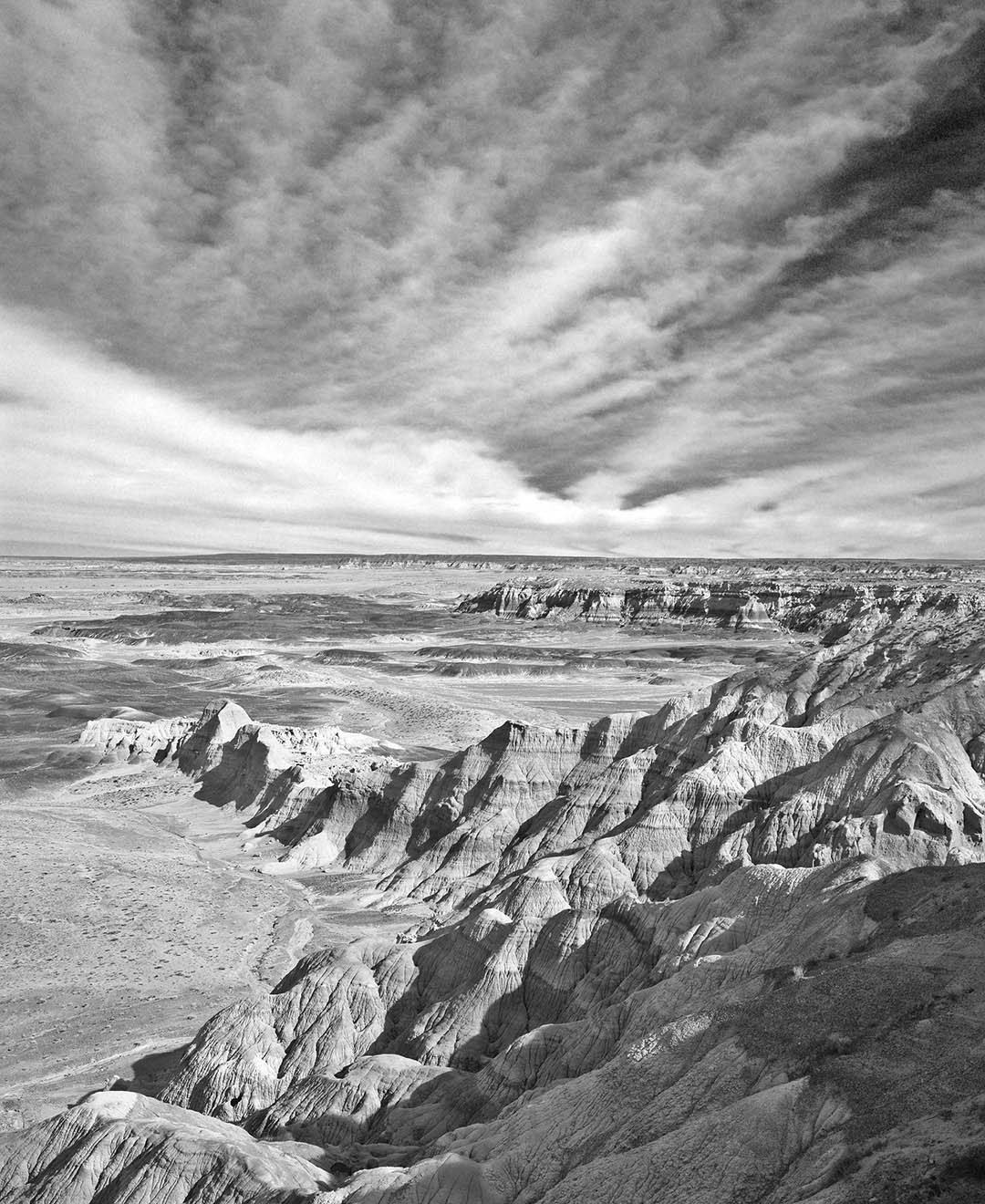Issue #088 - Petrified Forest National Park, Arizona Picture