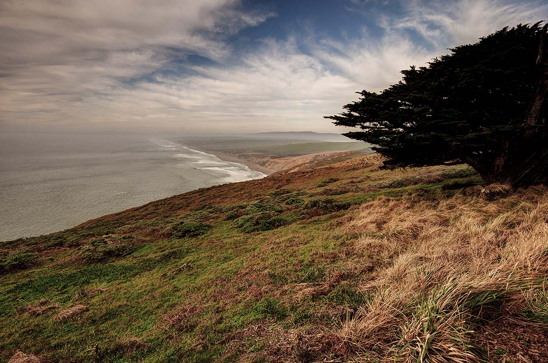 Issue #087 - Point Reyes in Winter, California