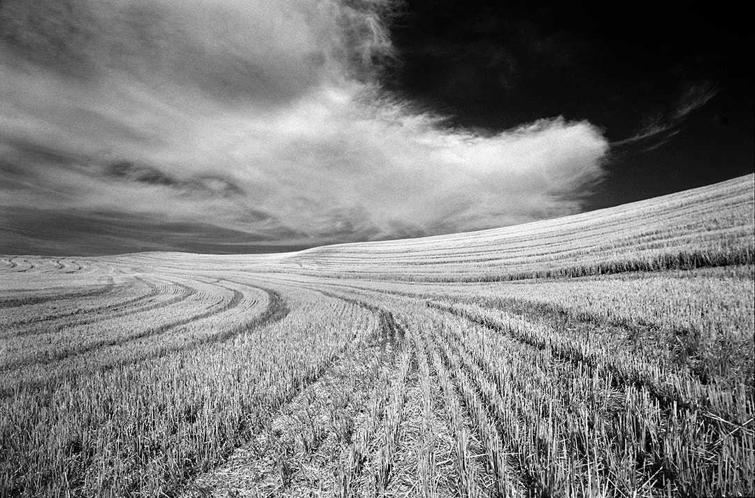 Issue #054 - The Palouse, Washington Picture