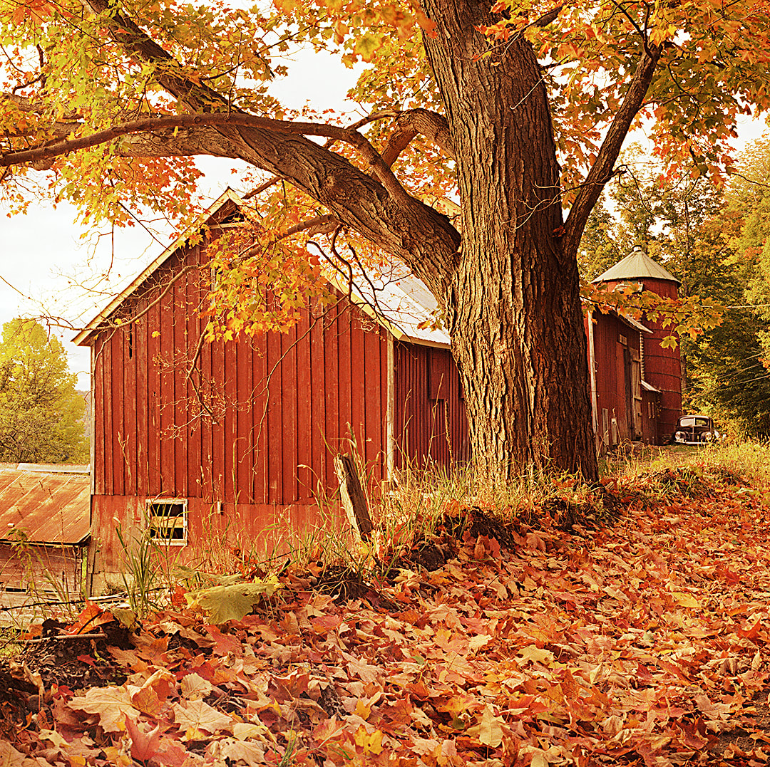Issue #002 - Autumn Color in New England
